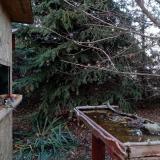 photo 2021-11-17 15-15-55