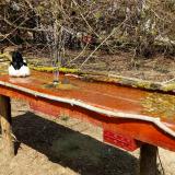 photo 2021-03-31 13-51-48