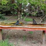 photo 2021-04-26 15-22-32