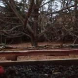 photo 2021-11-01 16-39-22