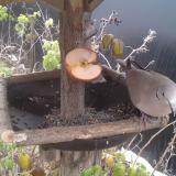 photo 2019-12-04 11-09-44