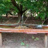 photo 2021-07-22 17-22-16