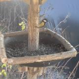 photo 2019-12-27 12-17-02