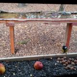 photo 2021-11-03 15-34-43