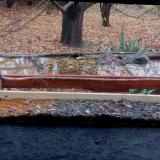 photo 2021-11-08 10-35-42