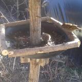 photo 2019-02-23 11-51-32