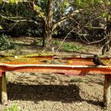 photo 2021-04-12 09-54-09