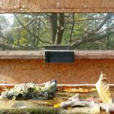 photo 2023-10-25 13-29-31