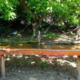 photo 2021-05-08 11-19-18