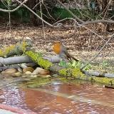 photo 2021-04-01 17-32-37-vorosbegy