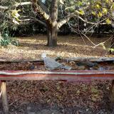 photo 2021-10-22 08-43-41