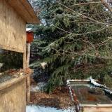 photo 2022-01-09 11-42-39