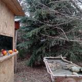 photo 2021-12-23 14-30-14