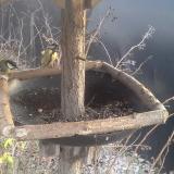 photo 2019-12-29 14-34-57