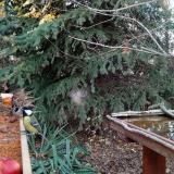 photo 2021-11-12 15-12-23