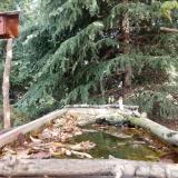 photo 2023-10-08 11-09-07