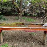 photo 2021-04-13 08-43-10