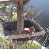 photo 2019-12-06 09-11-53