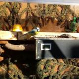 photo 2021-02-04 14-27-16