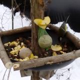 photo 2019-01-12 11-39-28