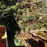 photo 2021-11-12 13-22-22