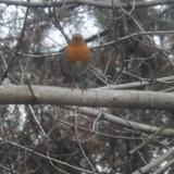 photo 2022-01-24 14-57-23 012