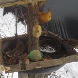 photo 2019-01-27 13-19-21