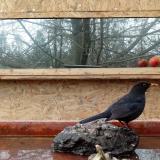 photo 2022-01-31 12-13-59