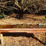 photo 2021-10-27 10-30-37