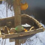 photo 2019-01-27 09-15-28