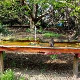 photo 2021-04-22 16-08-55