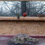 photo 2022-01-16 07-56-24