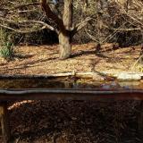 photo 2021-10-29 14-31-51