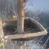 photo 2019-12-29 15-05-09