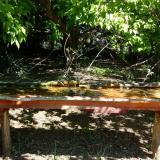 photo 2021-05-10 10-28-17