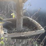 photo 2019-12-26 10-00-38