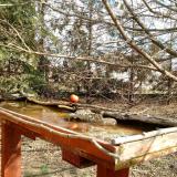 photo 2022-03-08 11-14-16